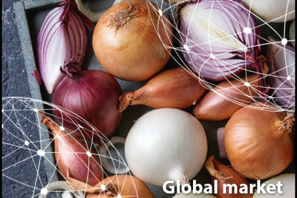 Как найти настоящую кракен даркнет ссылку