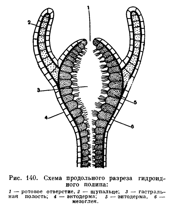 Кракен даркнет купить