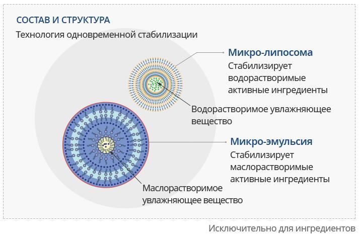 Кракен даркент